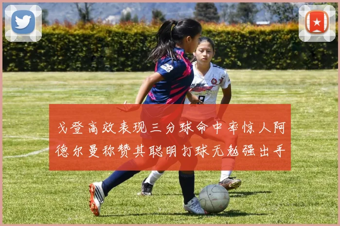 戈登高效表现三分球命中率惊人阿德尔曼称赞其聪明打球无勉强出手