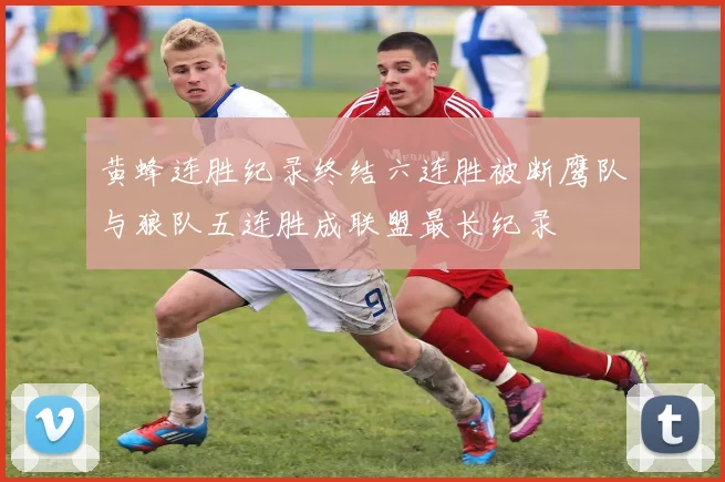 黄蜂连胜纪录终结六连胜被断鹰队与狼队五连胜成联盟最长纪录