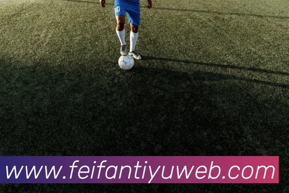 非凡体育平台生态图