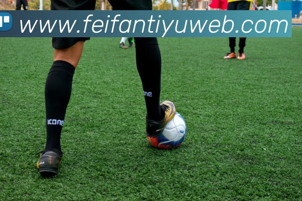 非凡体育APP 封面图