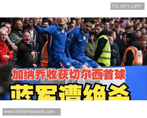 谢林汉姆:不建议加纳乔加盟切尔西的理由与看法