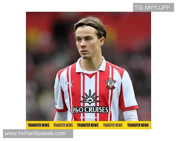 记者评论热刺转会策略称弗兰克关注伊万托尼不解为何引进特尔